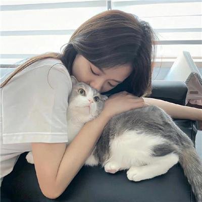 我赞红人